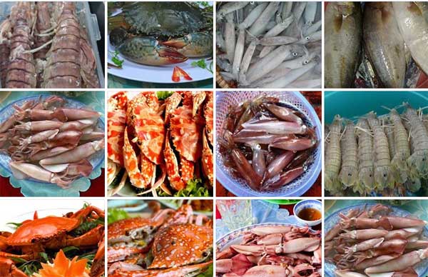 Tác động của đầu mối hải sản tươi sống đến người tiêu dùng và ngành công nghiệp hải sản.
